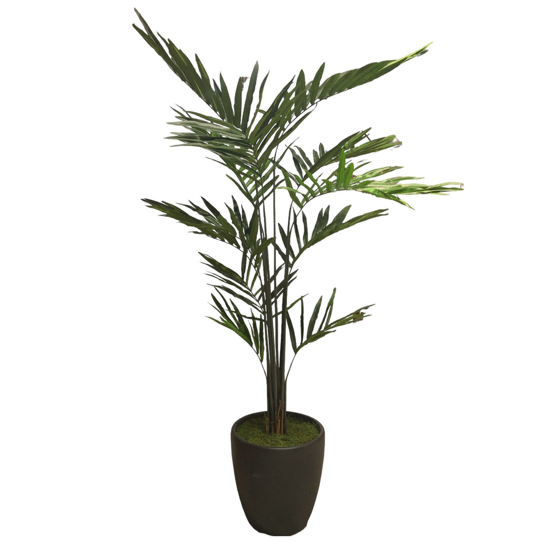 Palm Tree 230cm.