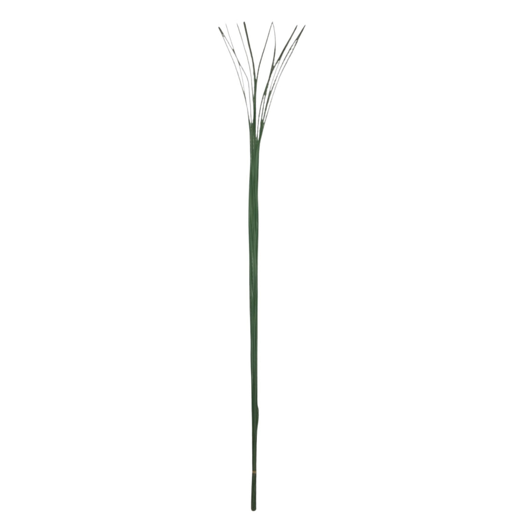 Grass Bundle 120cm.