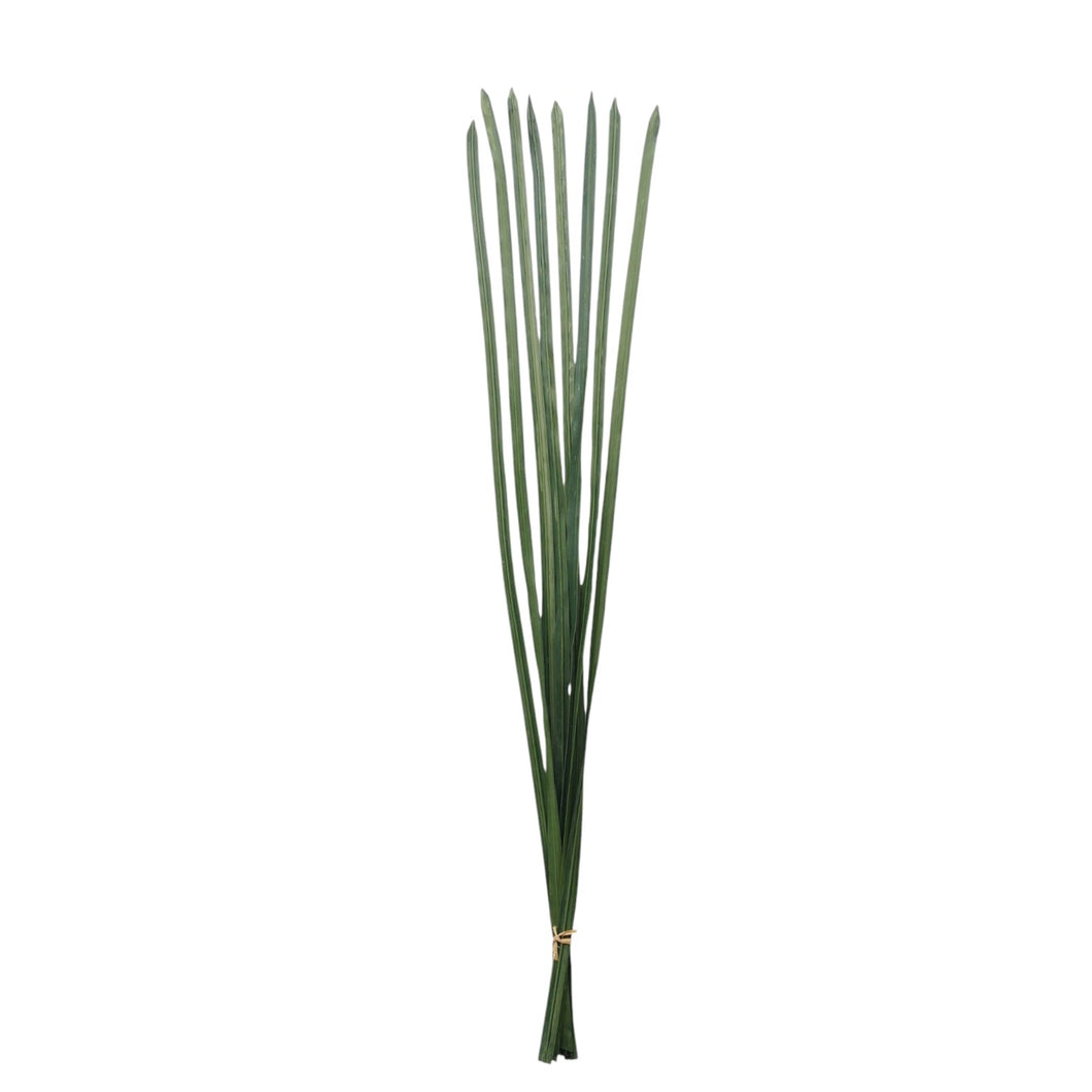 Reed Bundle 109cm.