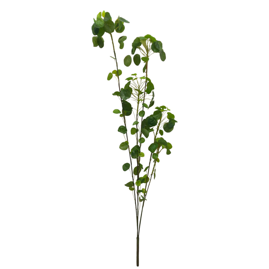 Pilea Leaves 124cm.