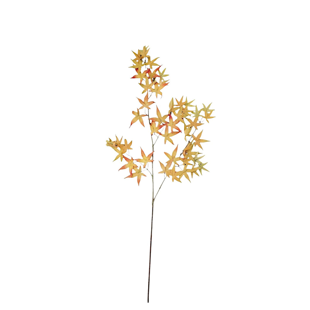 Maple Leaves 108cm.