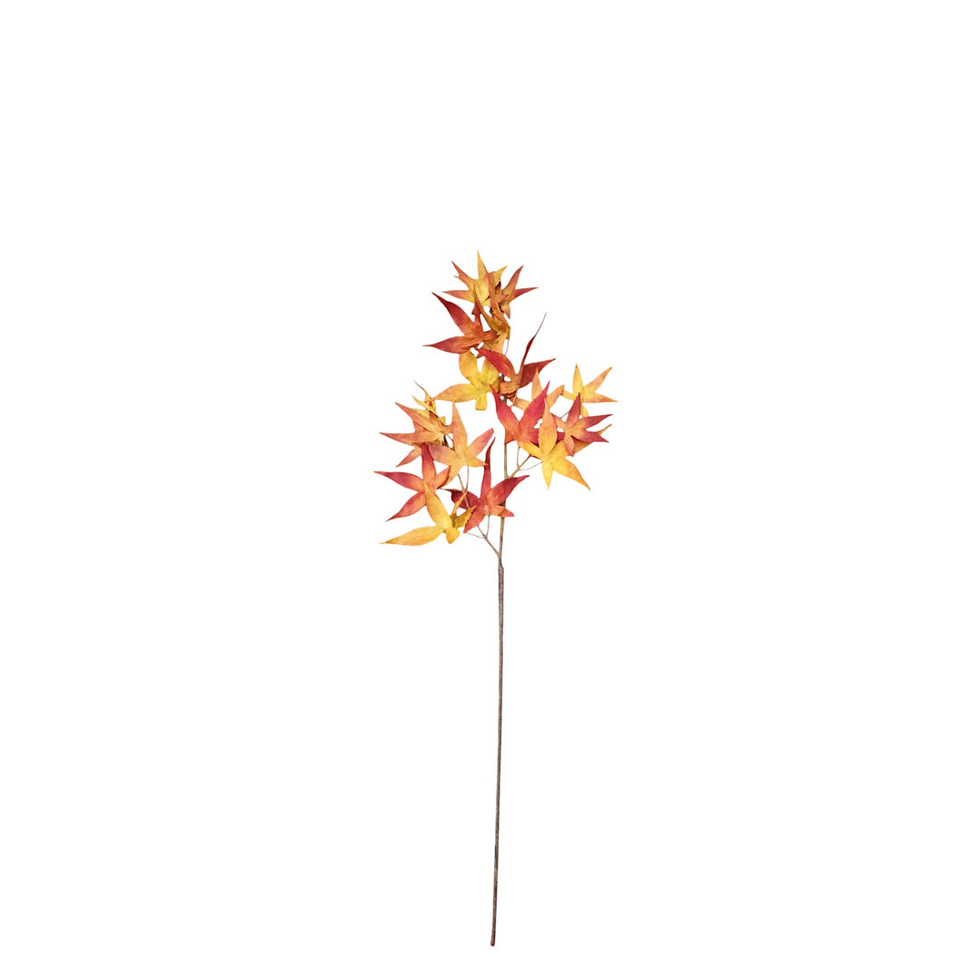 Maple Leaves 66cm.