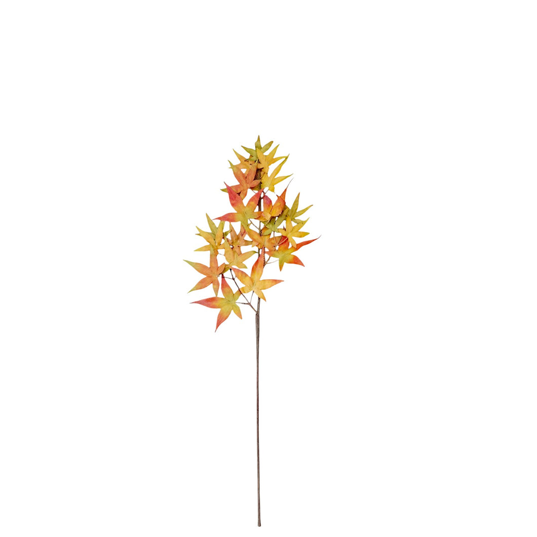 Maple Leaves 66cm.