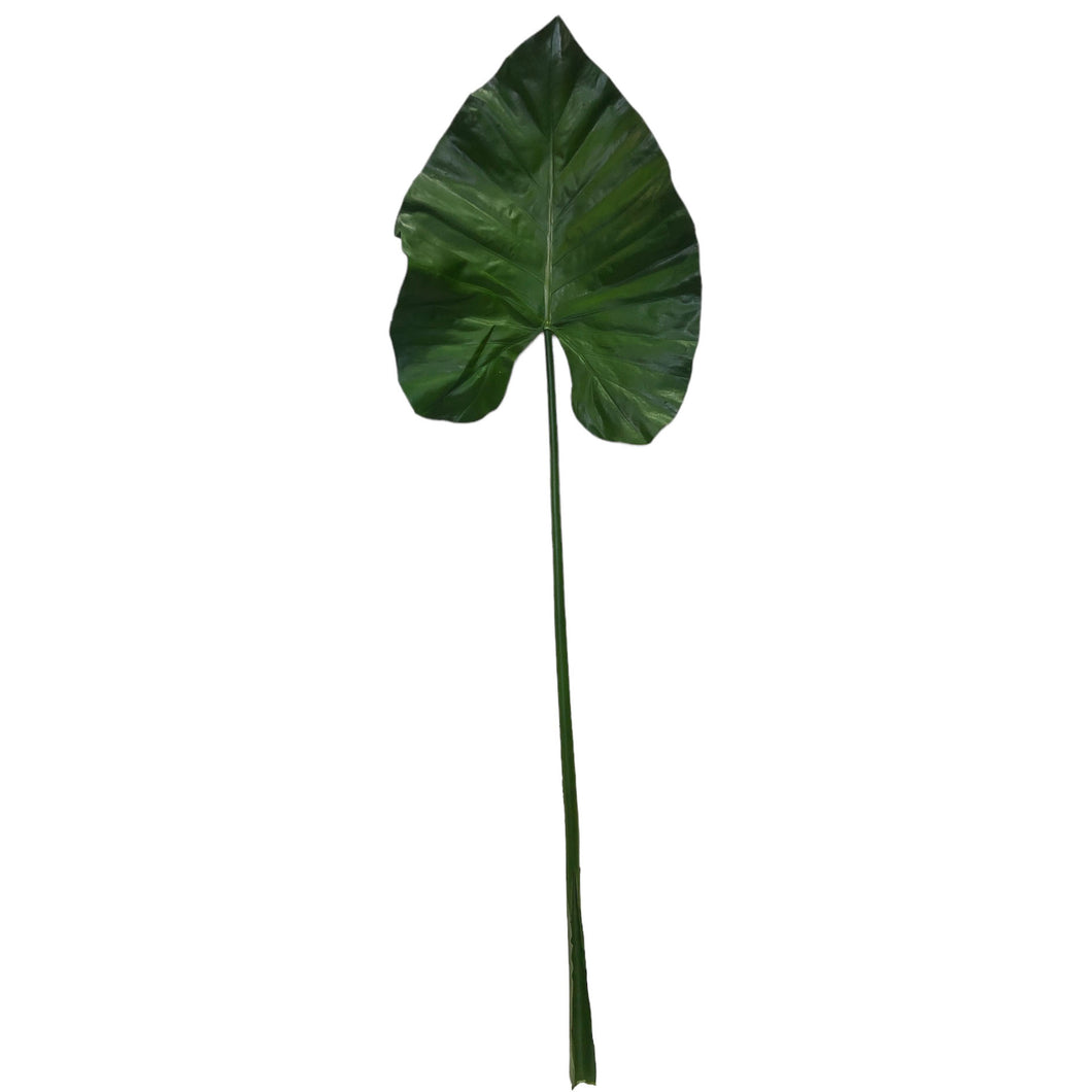 Alocasia Leaf 100cm.