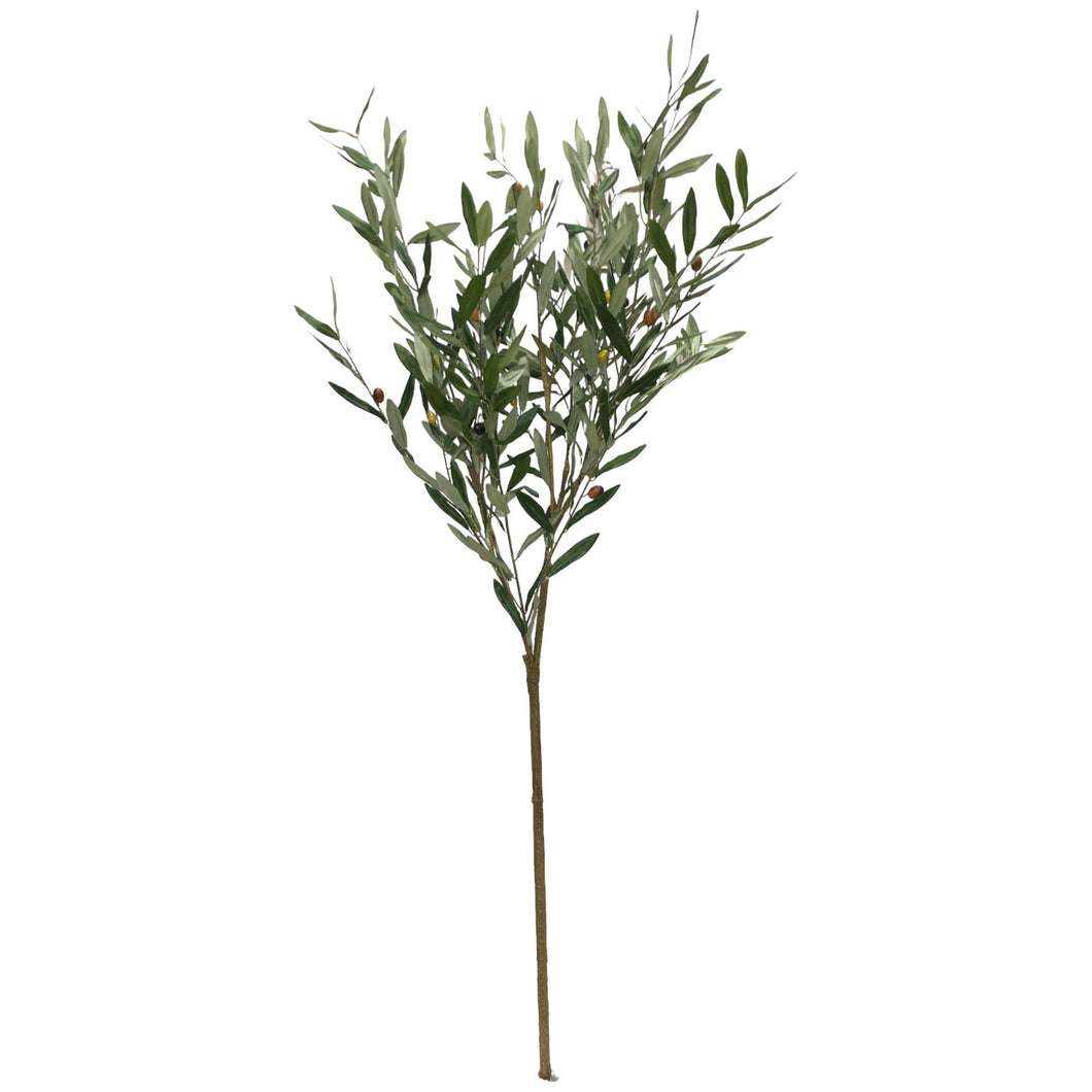 Olive Tree 140cm.