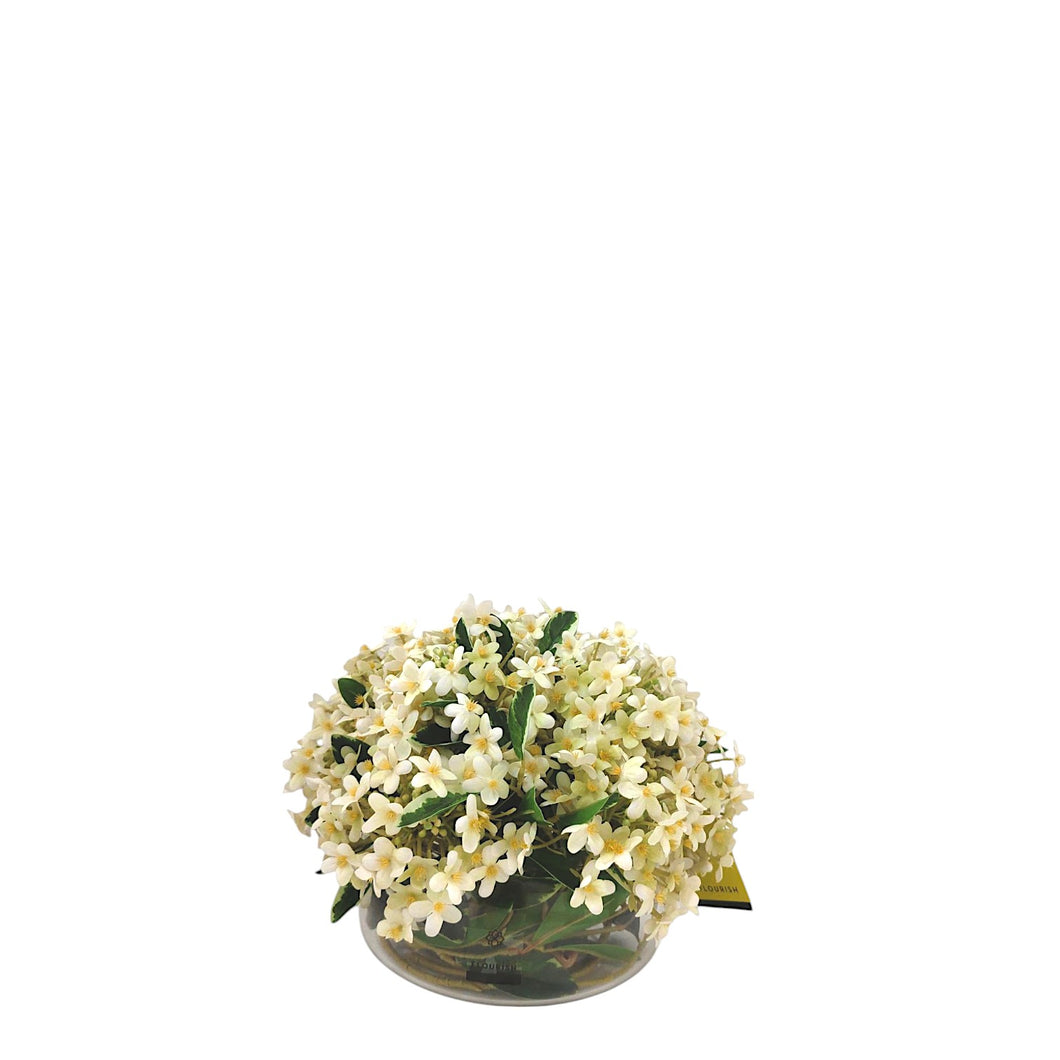 NDFA128 Pentas Arrangement