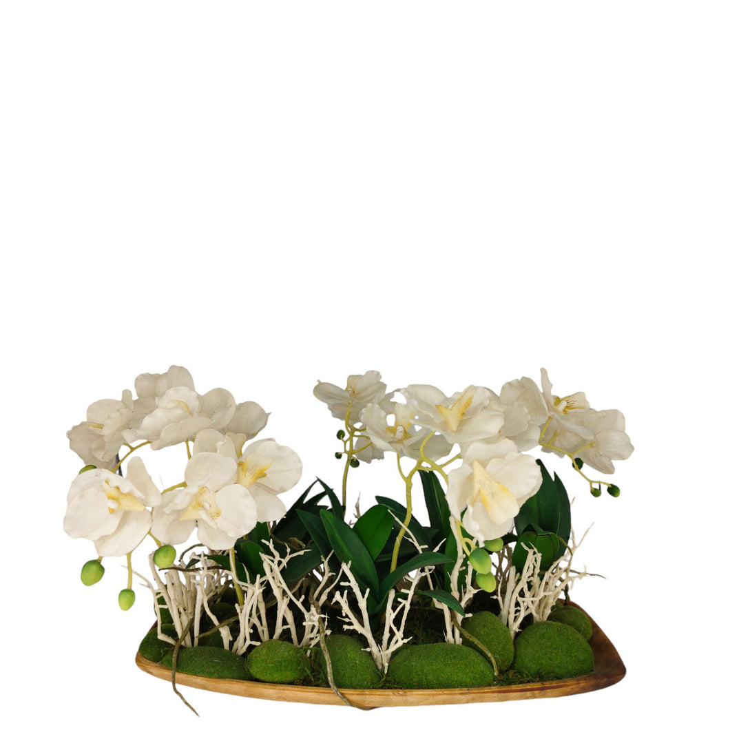 NDFA092 Orchid Arrangement
