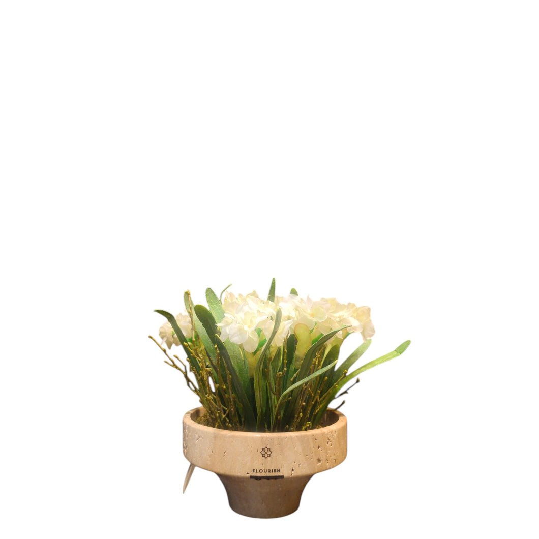 NDFA118 Narcissus Arrangement