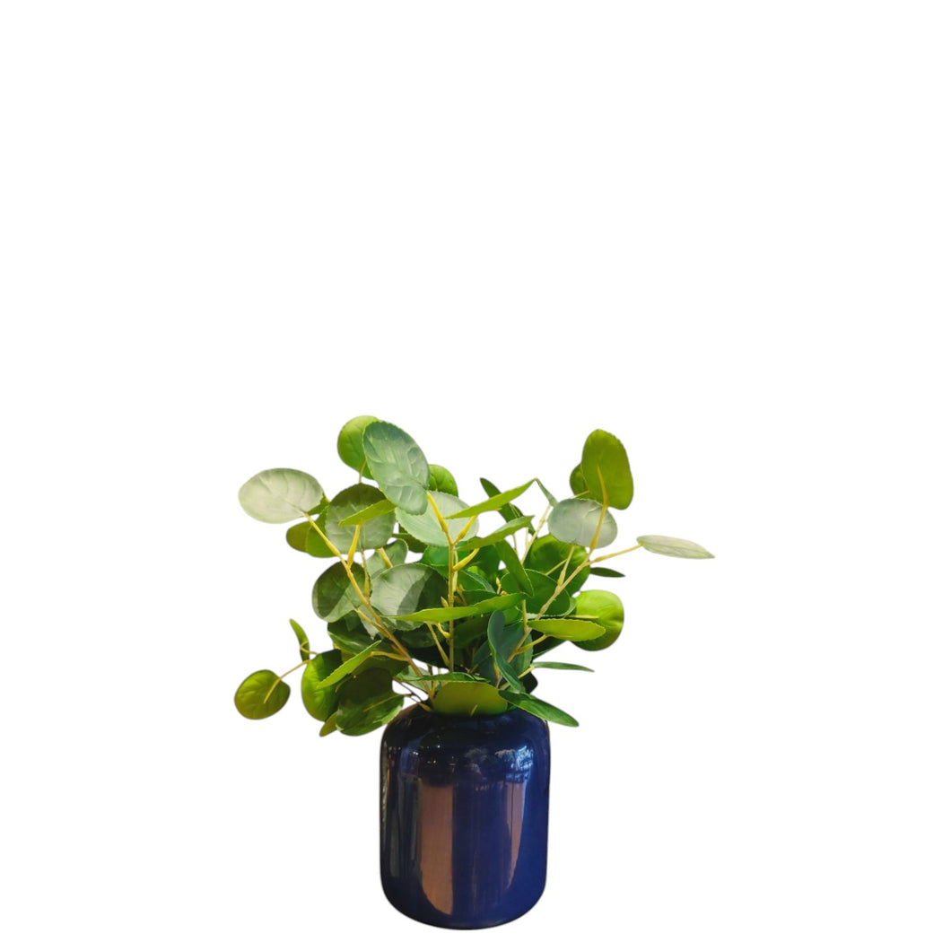 NDFA123 Dollar Spray Arrangement
