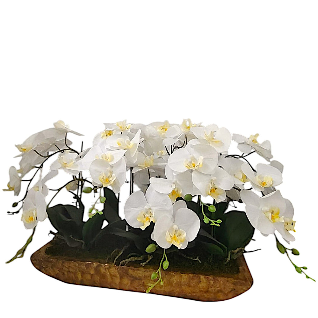 NDFA138 Orchid Arrangement