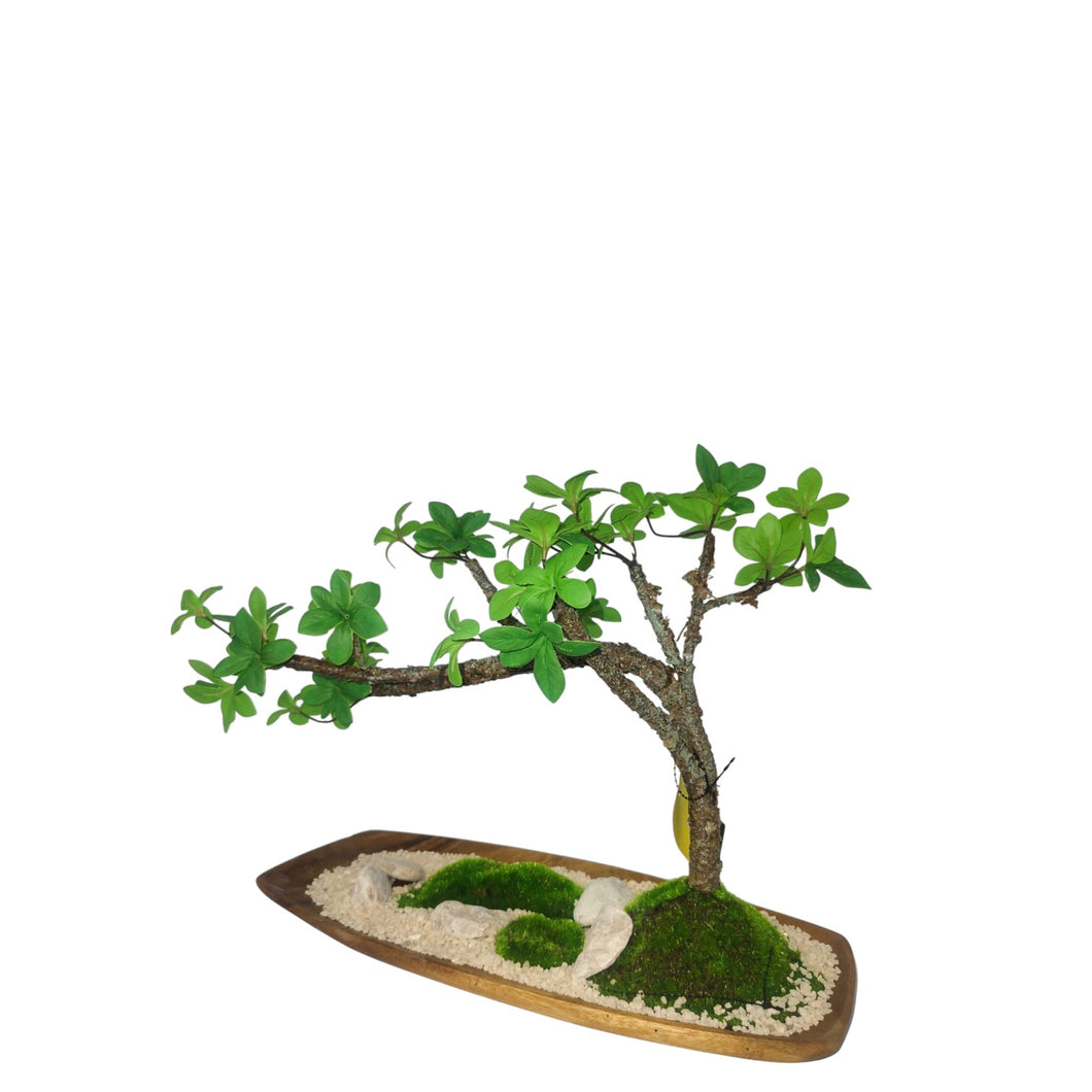 NDFA147 Enkianthus Arrangement