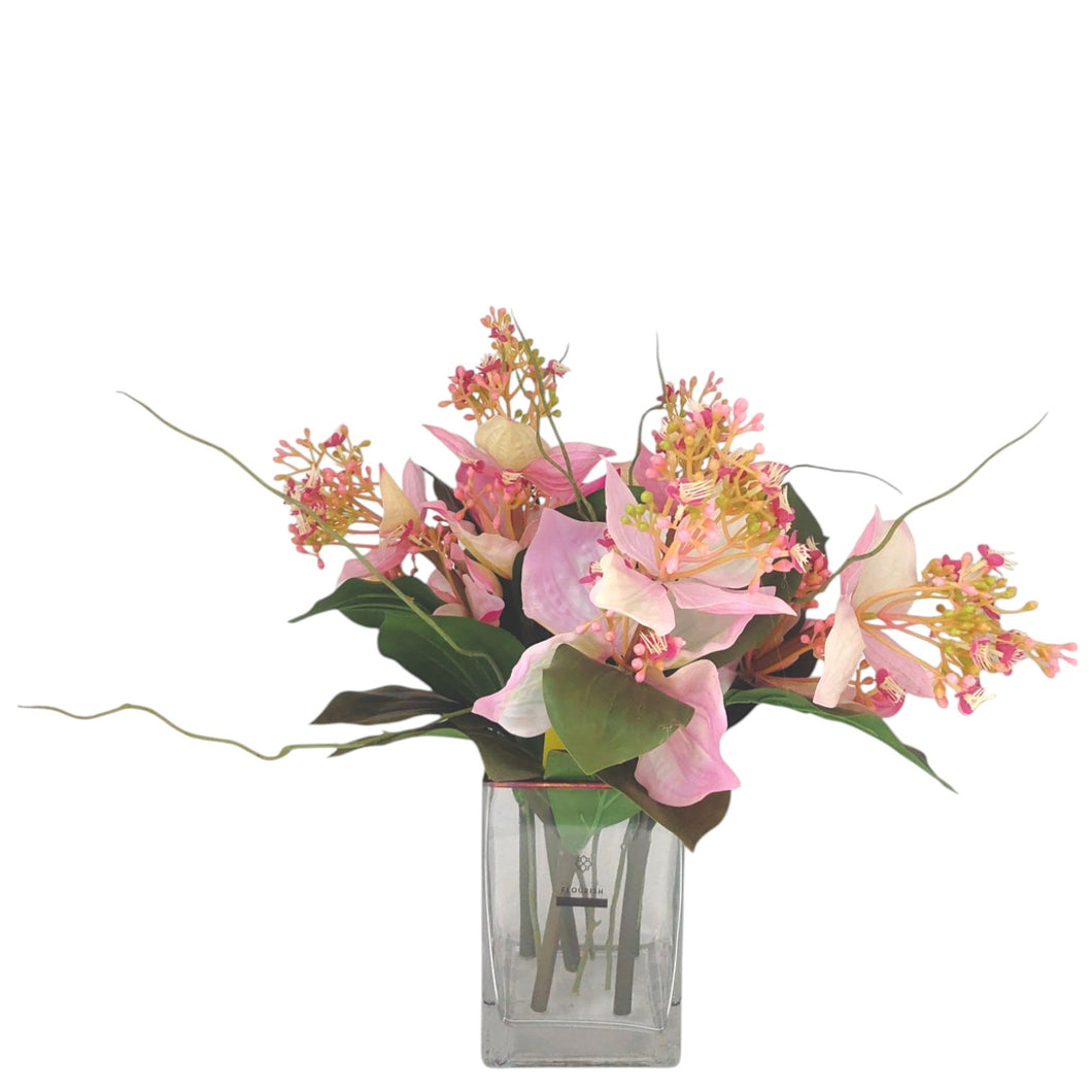 NDFA152 Medinilla Arrangement