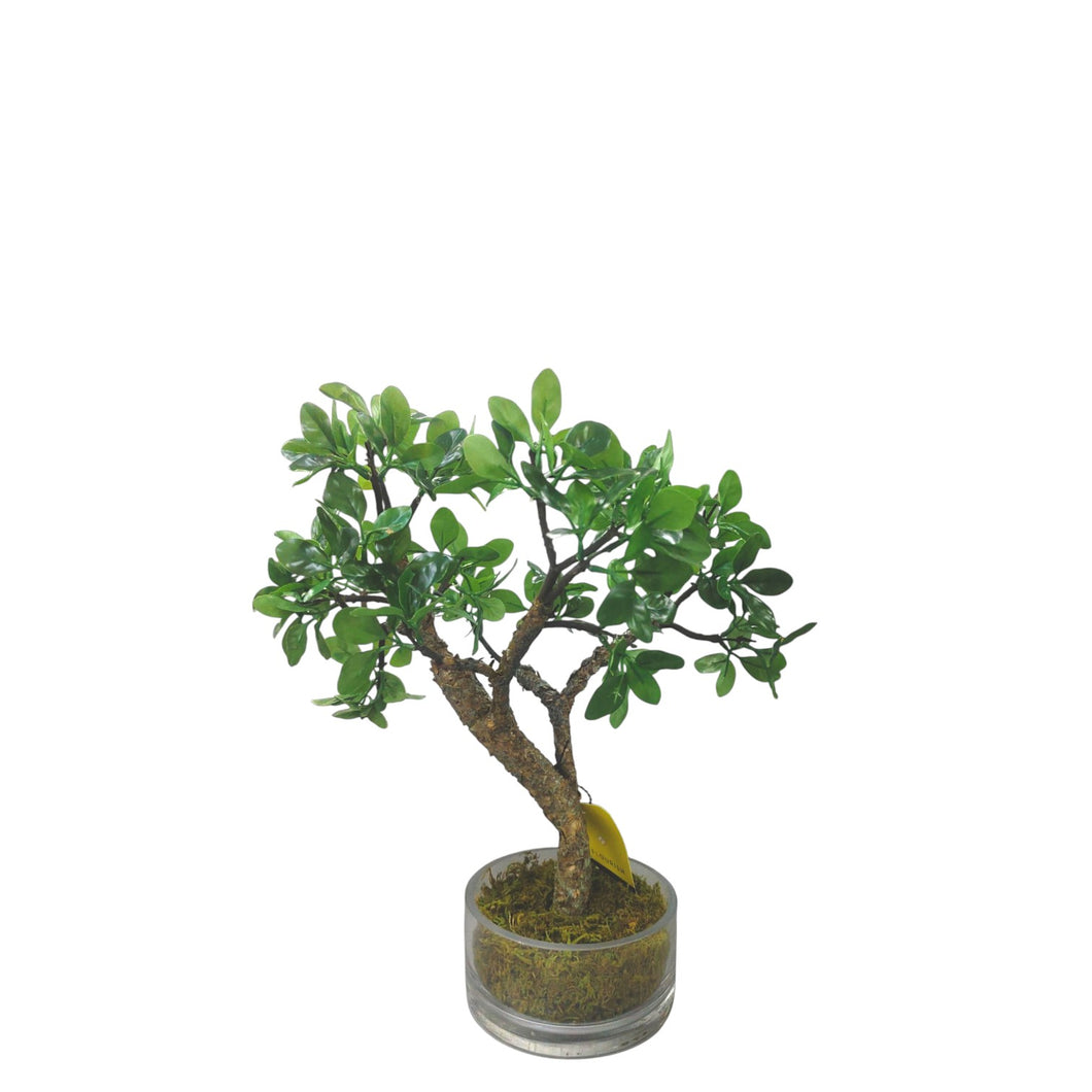 NDFA154 Foliage Arrangement