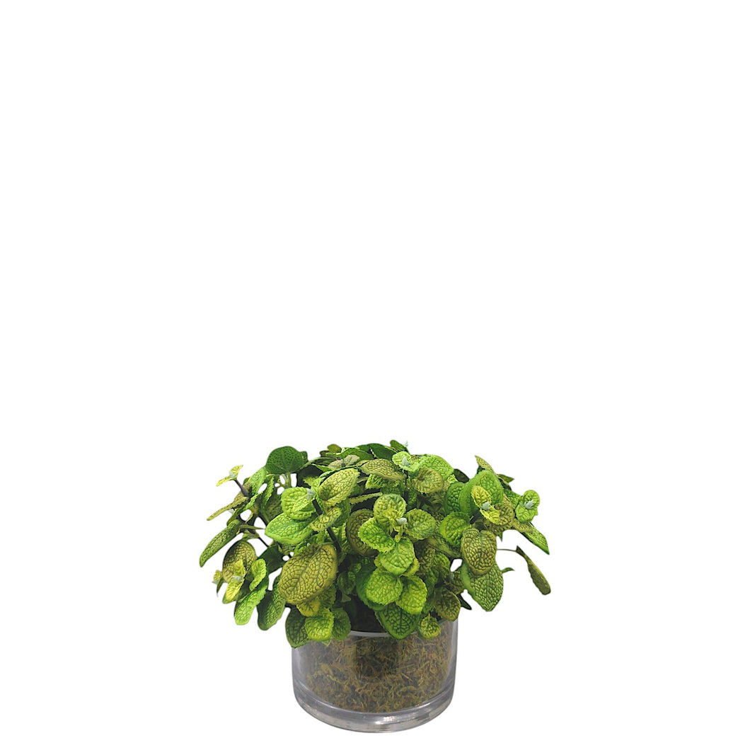NDFA159 Mint Spray Arrangement