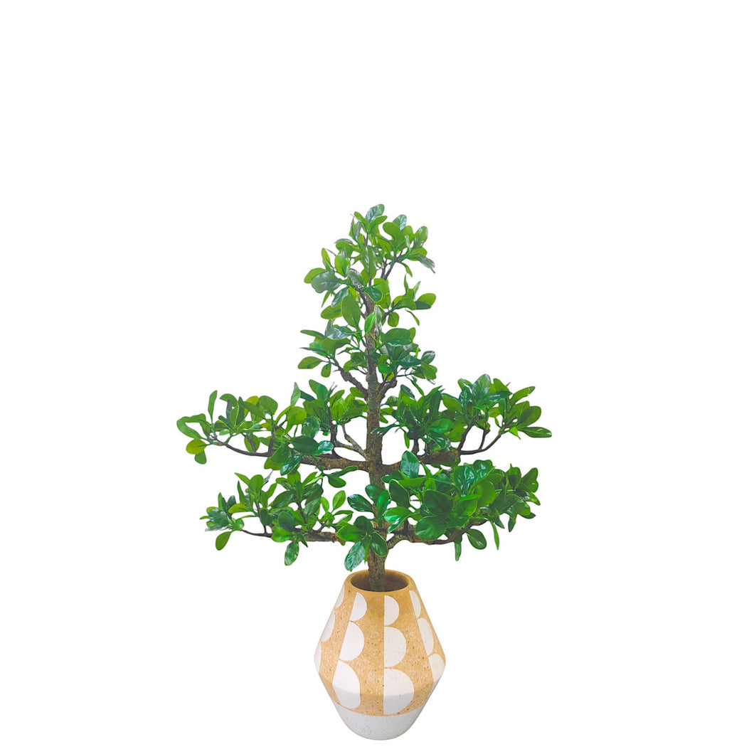 NDFA167 Foliage Arrangement
