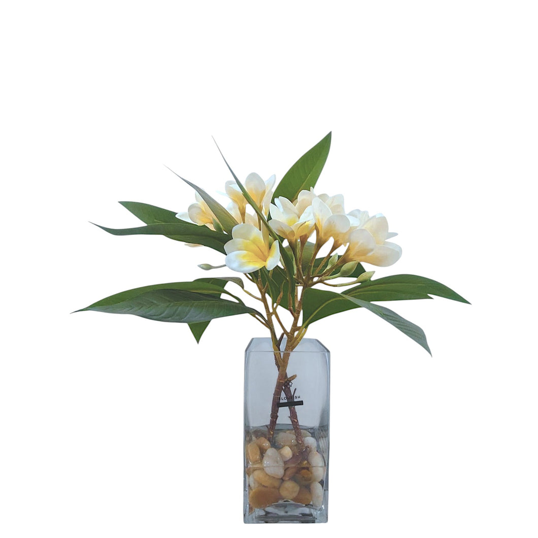 NDFA168 Frangipini Arrangement