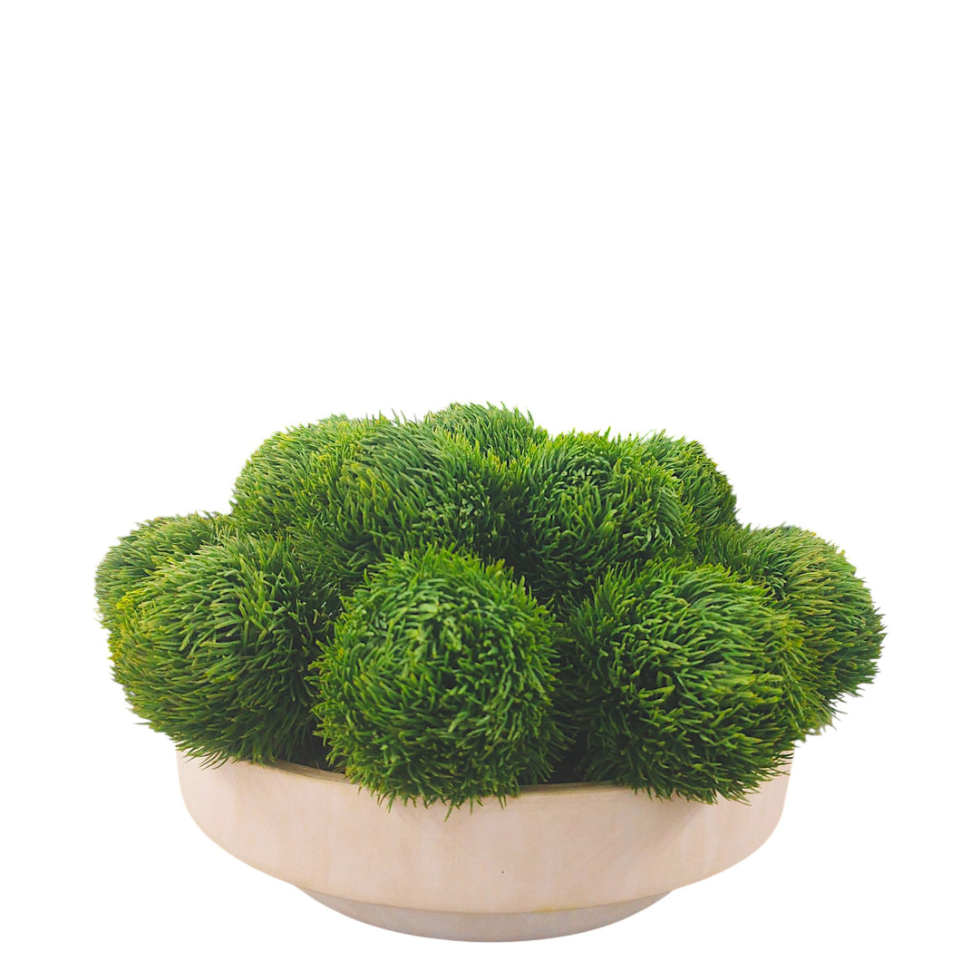 NDFA172 Dianthus Arrangement