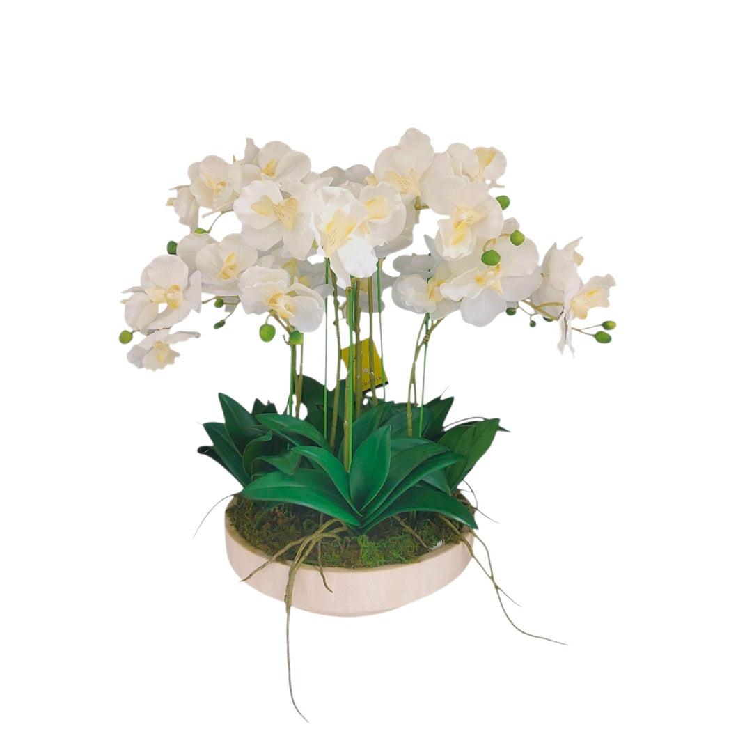 NDFA175 Vanda Orchid Arrangement