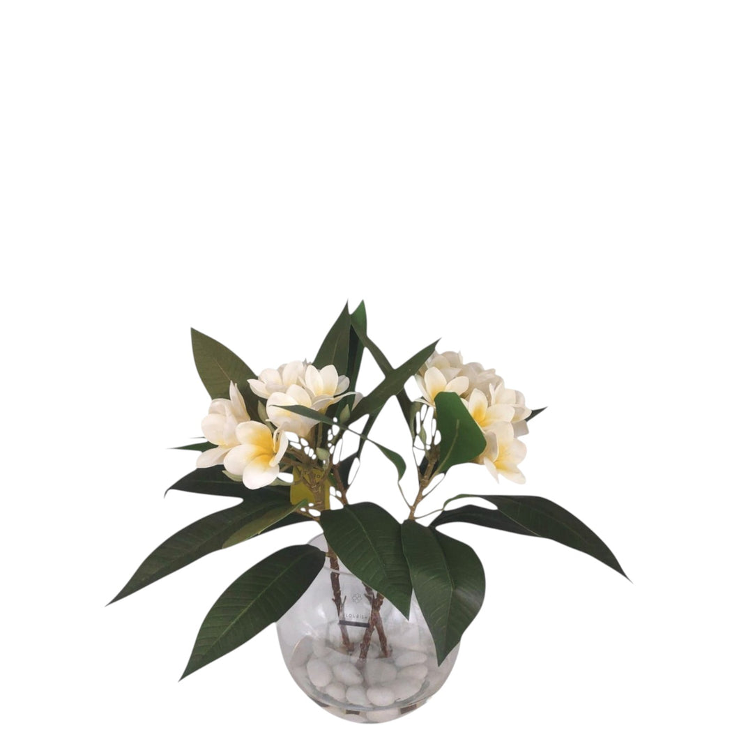 NDFA179 Frangipani Arrangement in Resin (Small)