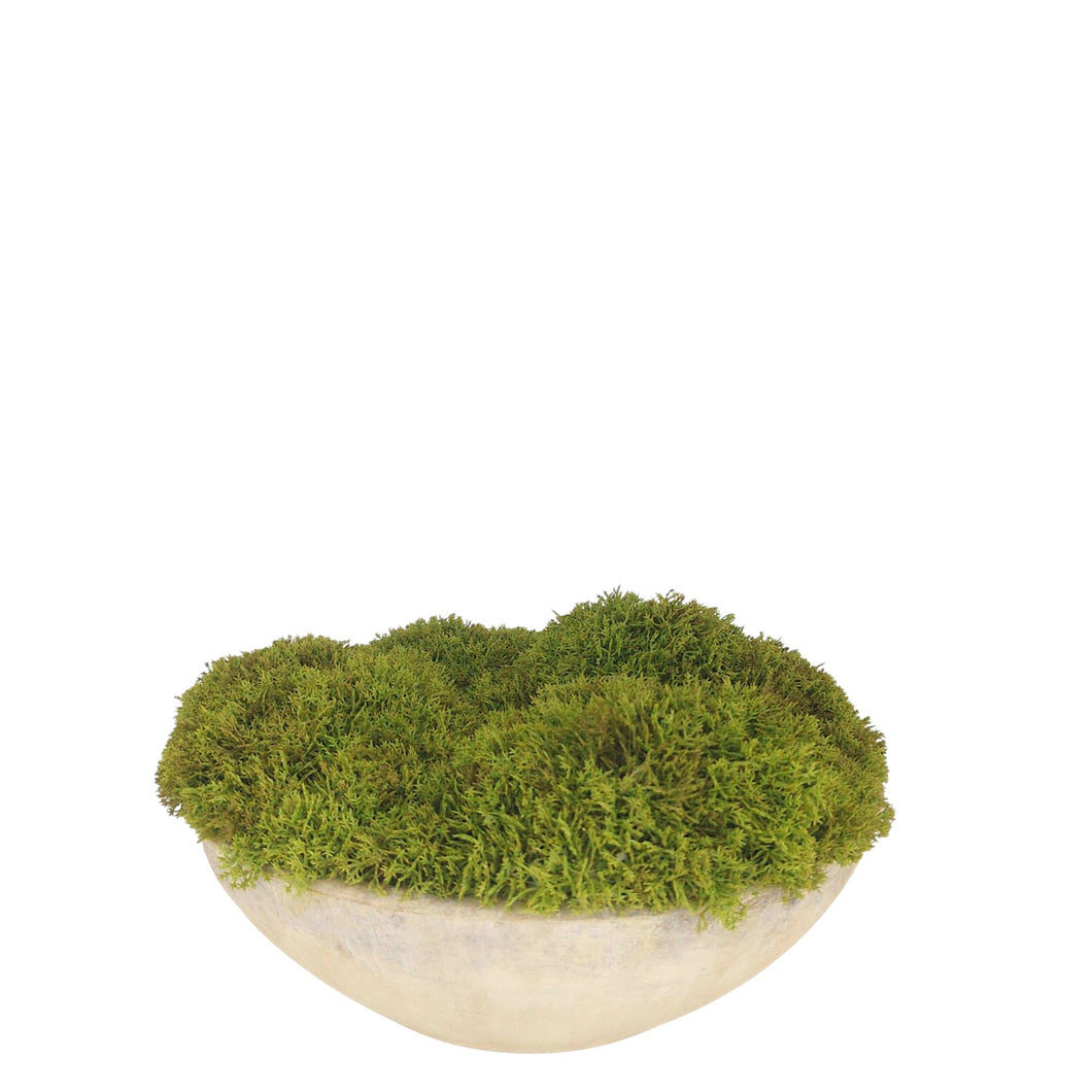 NDFA181 Moss Turf Arrangement