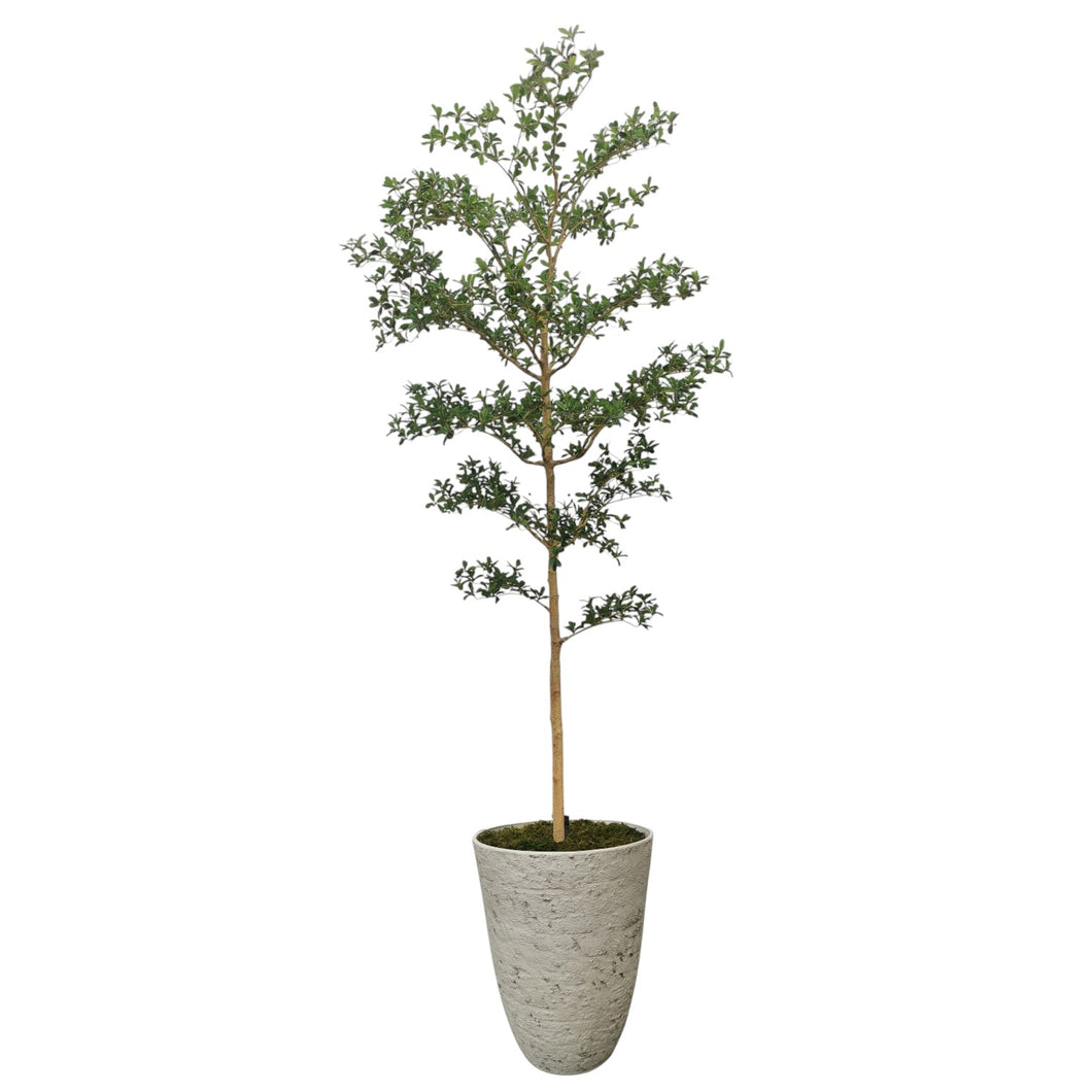 Shady Lady Tree 290cm.