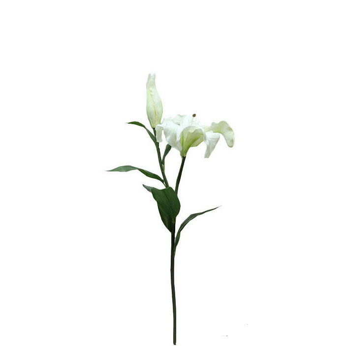Enchantment Lily 65cm.