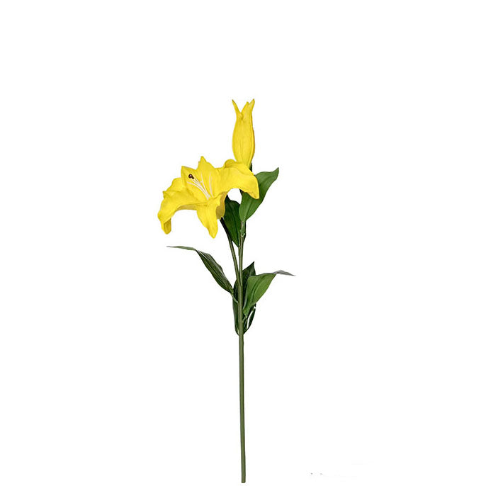 Enchantment Lily 65cm.