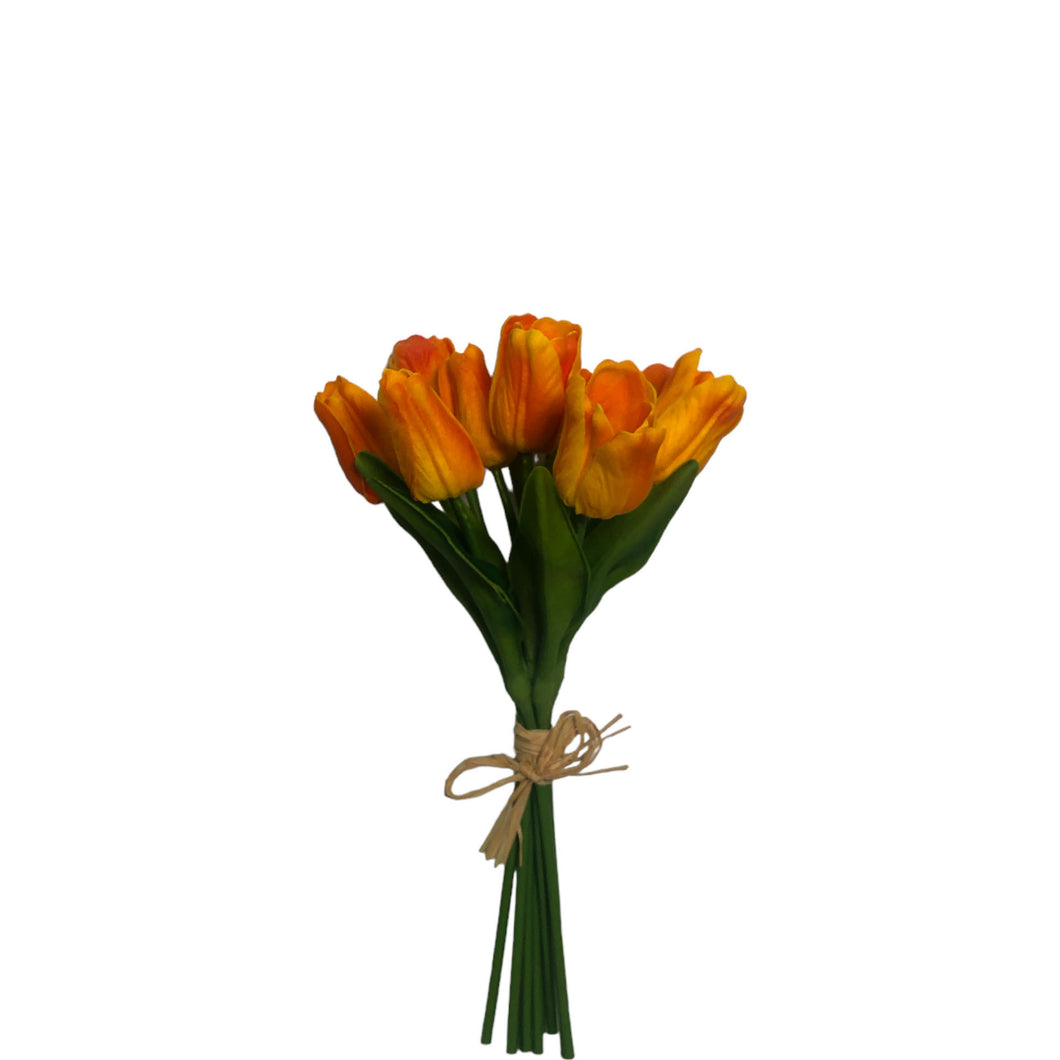 Tulip Bundle 27cm.