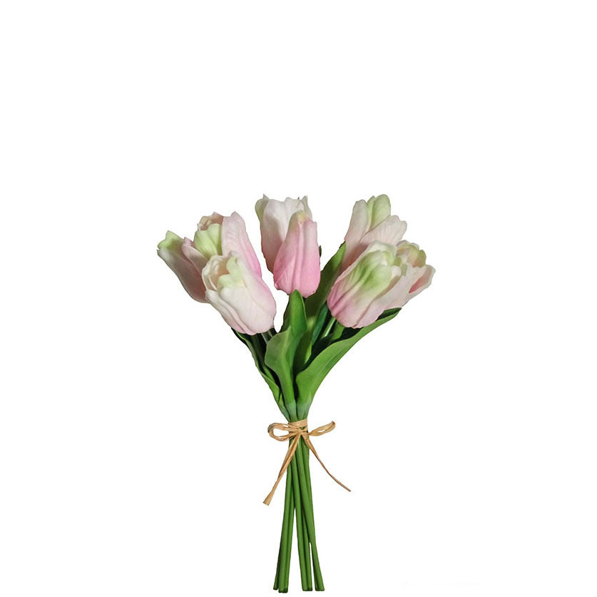 Tulip Bundle 27cm.