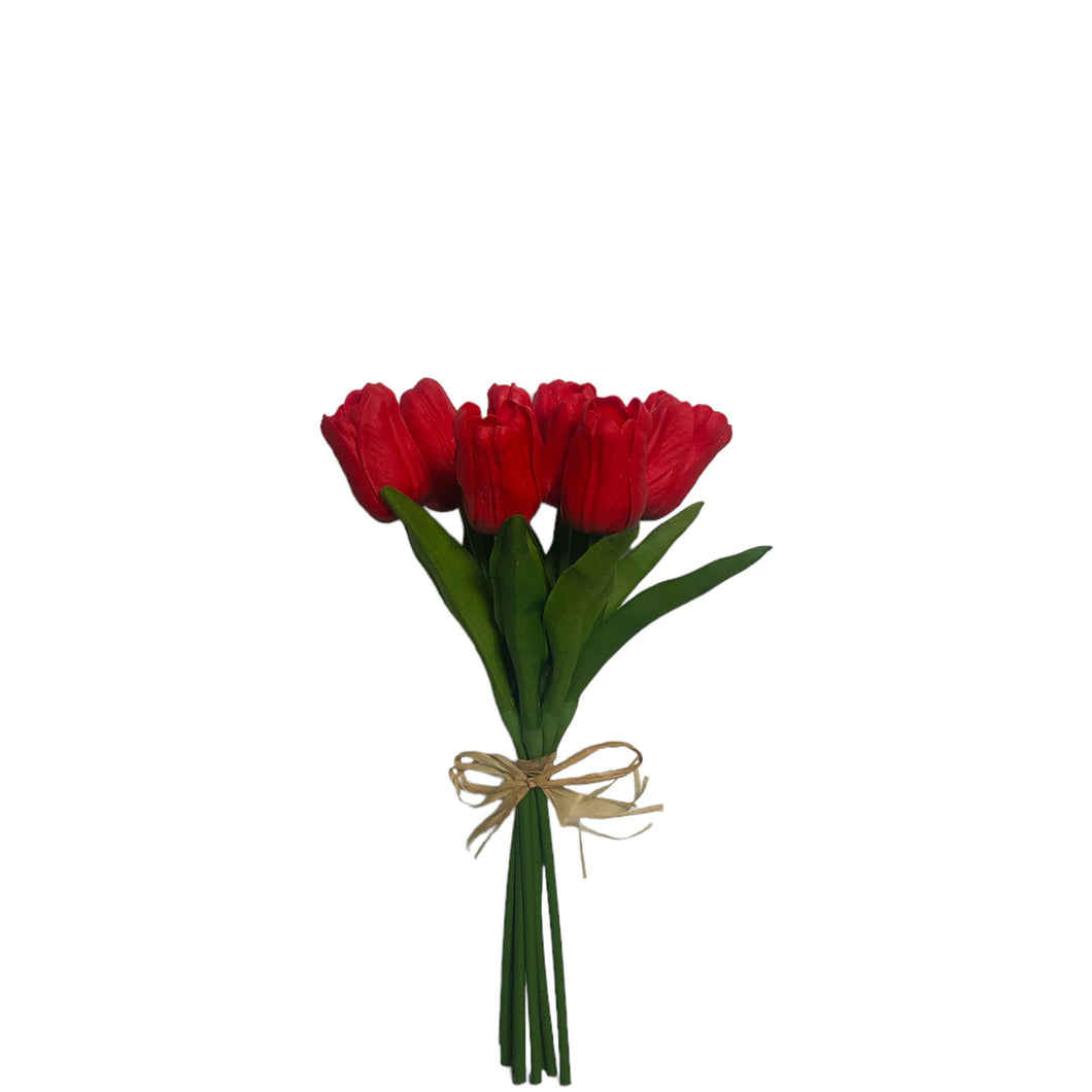 Tulip Bundle 27cm.
