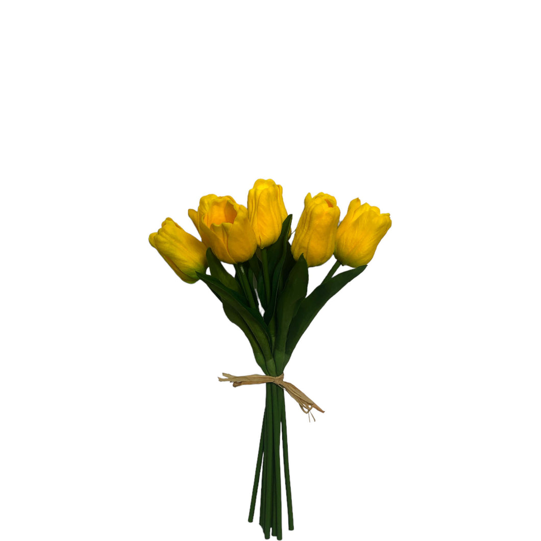 Tulip Bundle 27cm.
