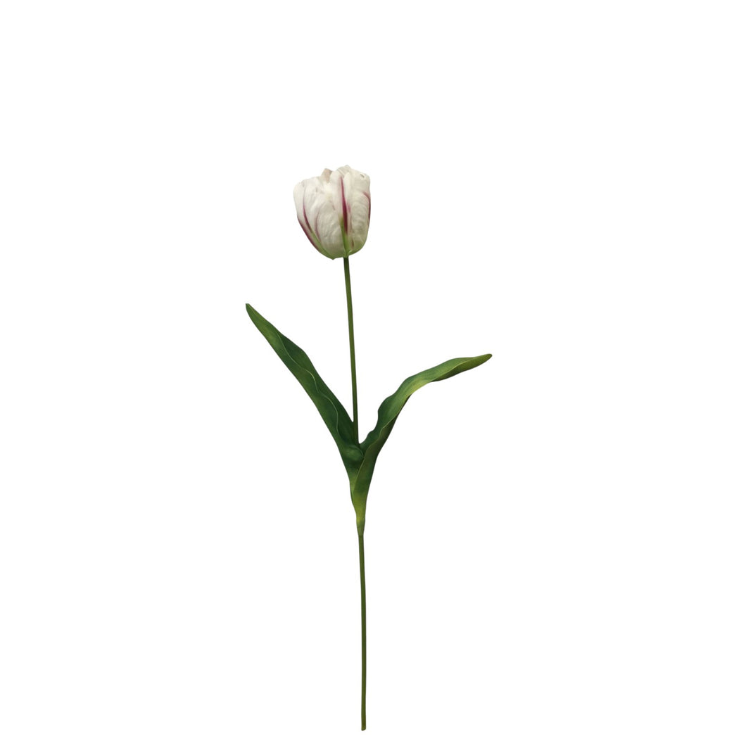 Single Tulip Spray 63cm.