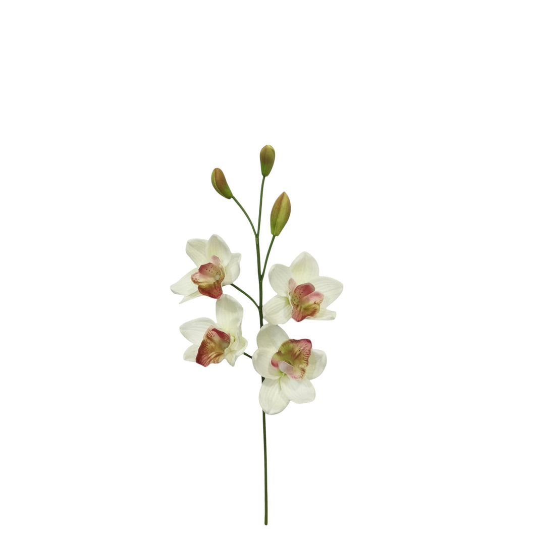 Cymbidium Spray 51cm.