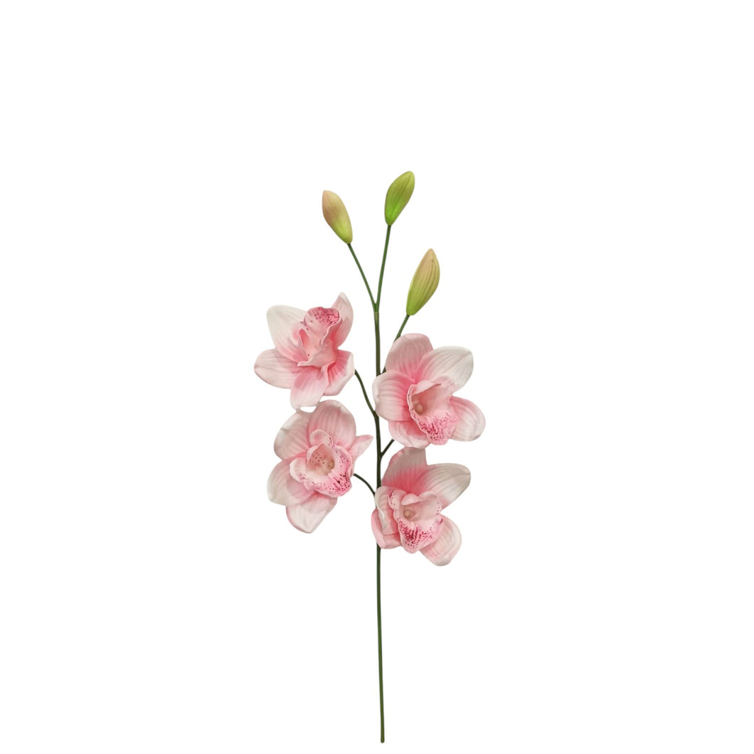 Cymbidium Spray 51cm.