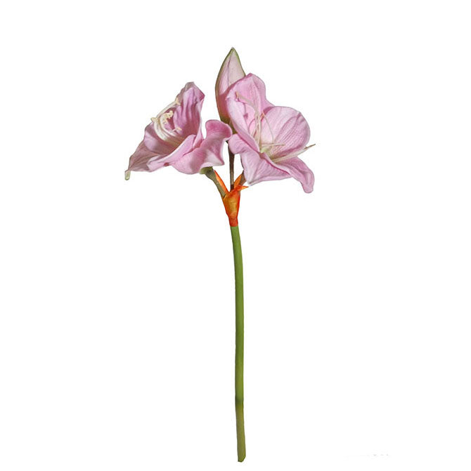 Amaryllis Spray 64cm.