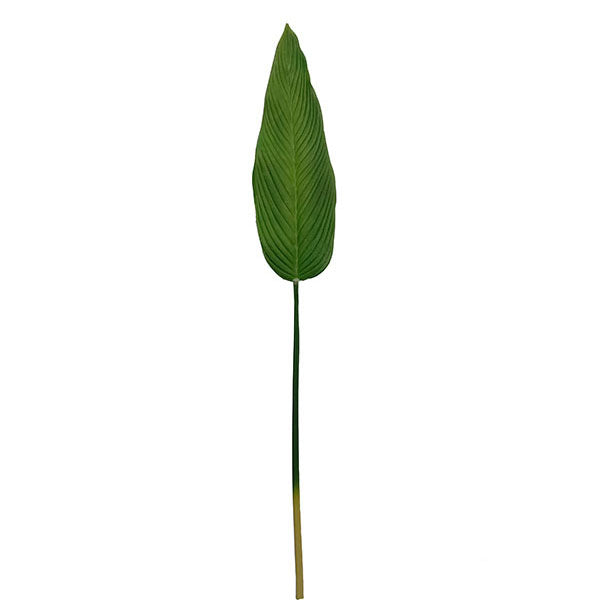 Ti Leaf Cordyline 100cm.
