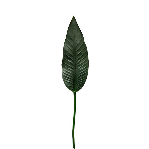 Single Bird of Paradise Leaf 77cm.