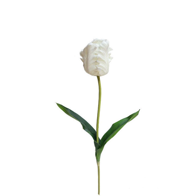 Parrot Tulip Spray 48cm.
