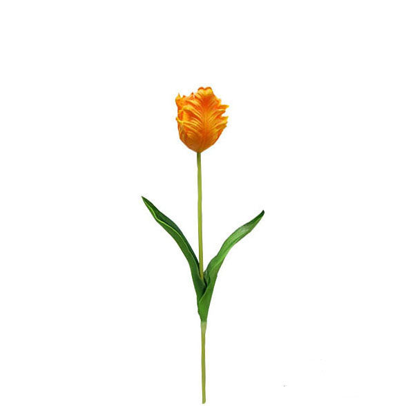 Parrot Tulip Spray 48cm.