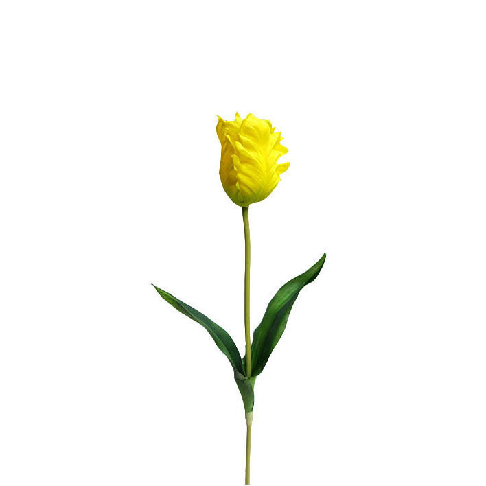 Parrot Tulip Spray 48cm.