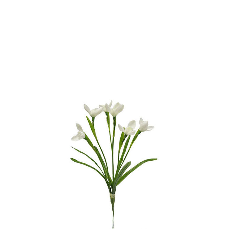 Snowdrops 32cm.
