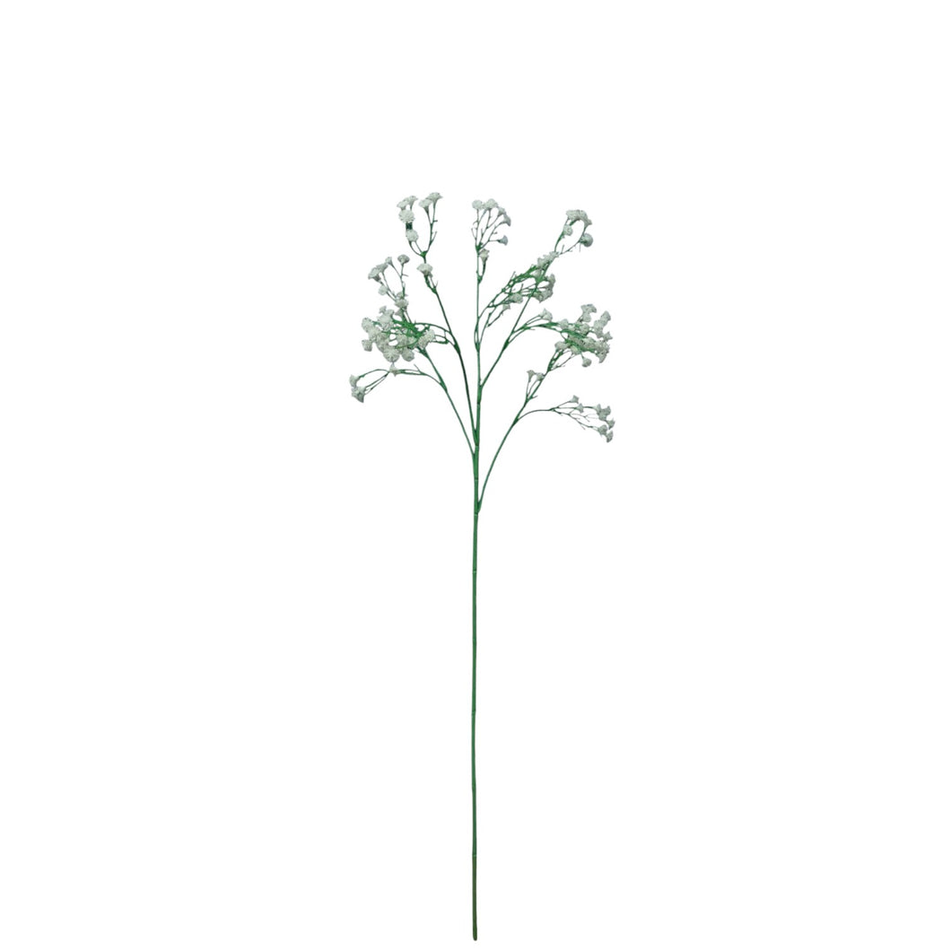 Gypsophilia 65cm.