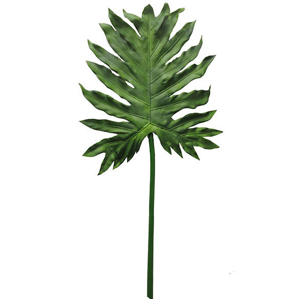 Split Wild Philodendron Leaves 127cm.