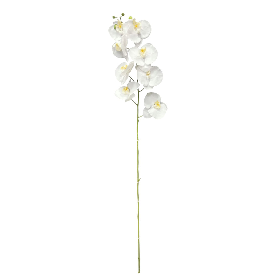 Phalaenopsis Spray 113cm.