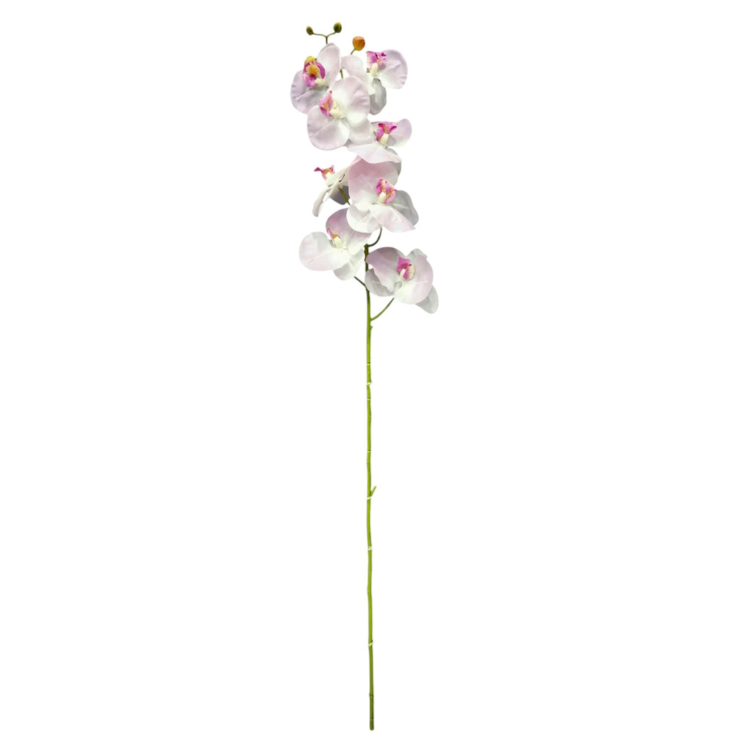 Phalaenopsis Spray 113cm.