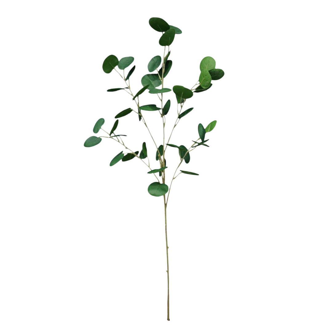Dollar Spray 91cm.