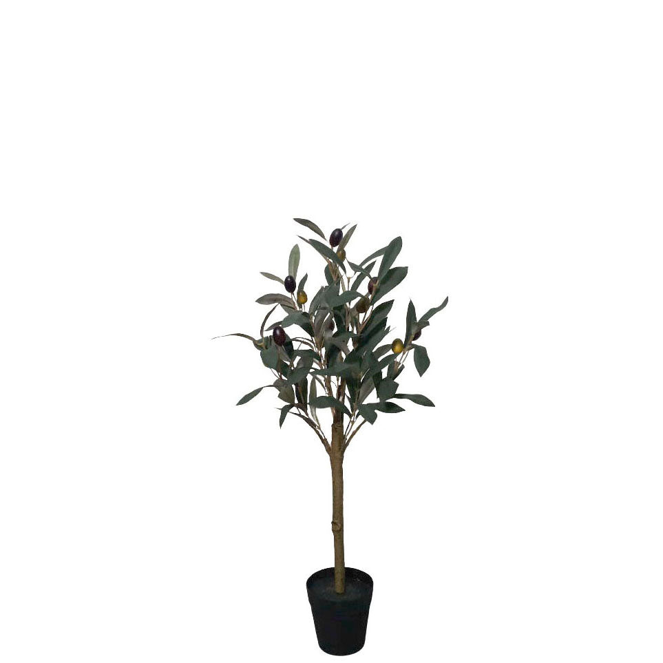 Potted Olive with Berry 60cm.