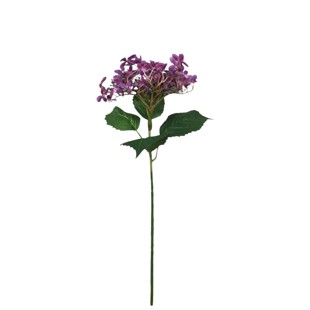 Butterfly Hydrangea 68cm.