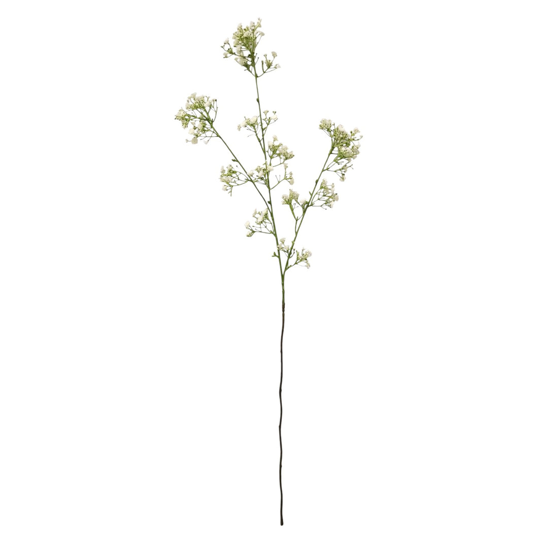 Gypsophila Spray 105.5cm.