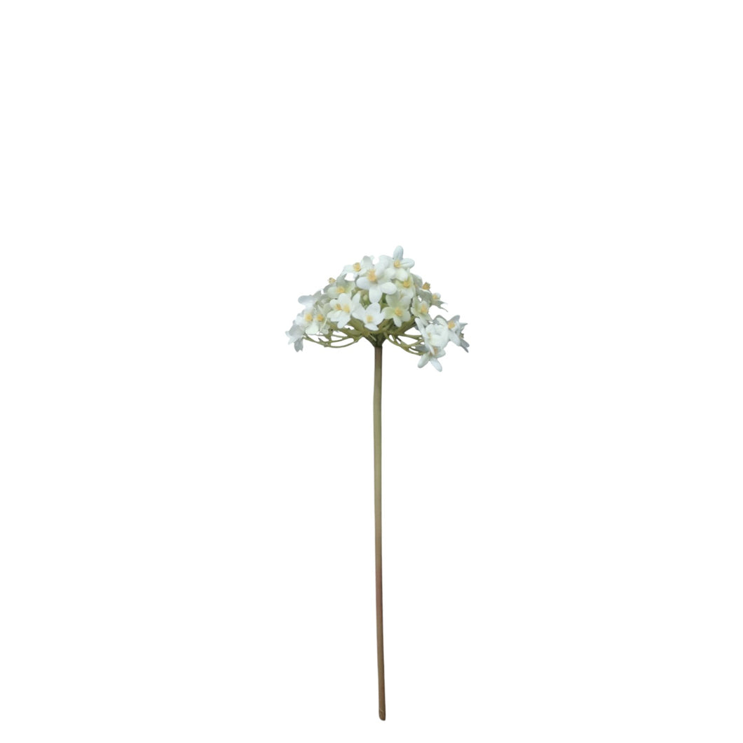 Pentas Spray 39cm.